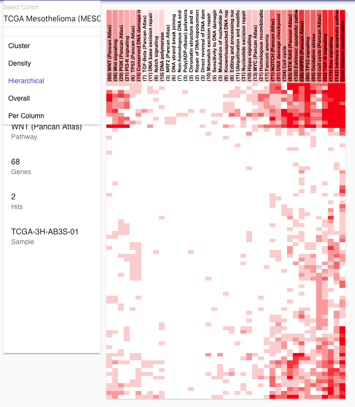 Meso example