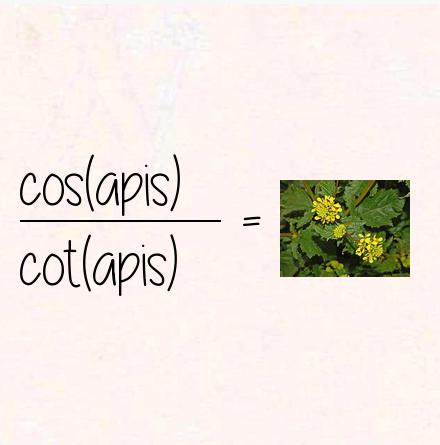 cos(apis) / cot(apis) = sinapis