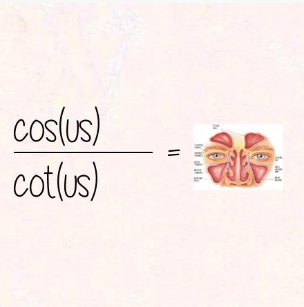 cos(us) / cot(us) = sinus