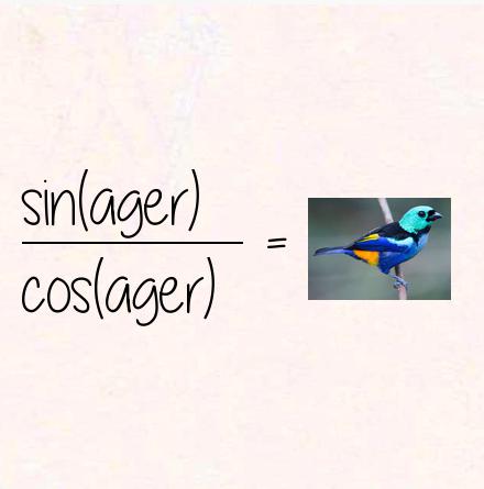 sin(ager) / cos(ager) = tanager