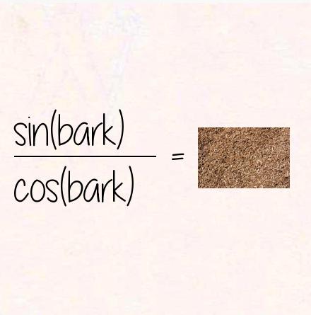 sin(bark) / cos(bark) = tanbark