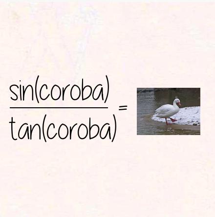 sin(coroba) / tan(coroba) = coscoroba