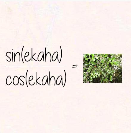 sin(ekaha) / cos(ekaha) = tanekaha