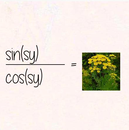 sin(sy) / cos(sy) = tansy