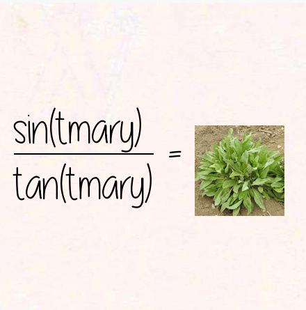 sin(tmary) / tan(tmary) = costmary