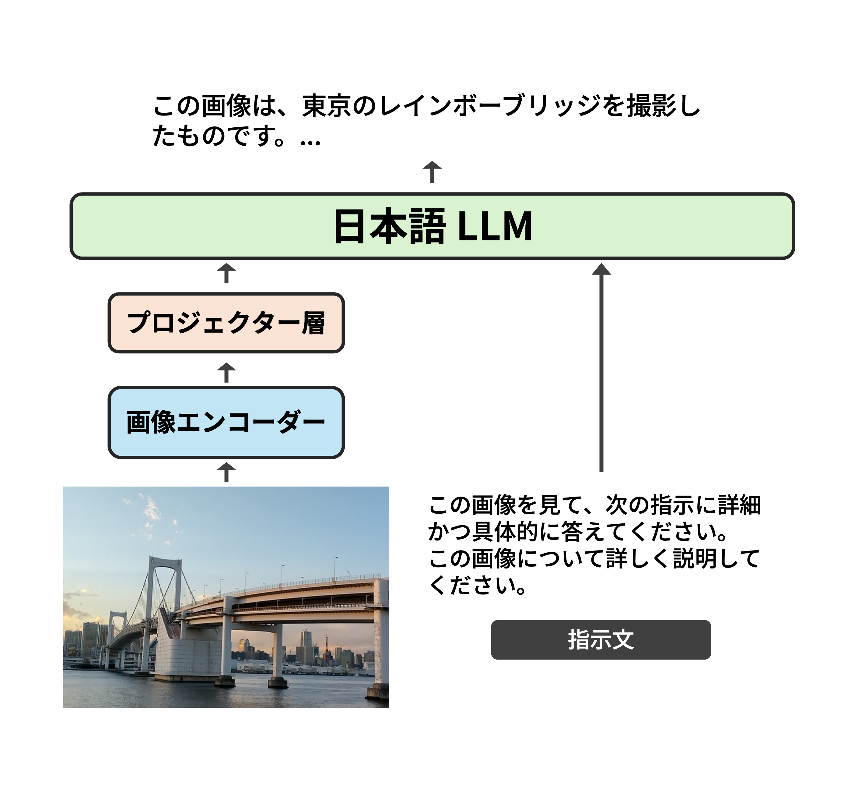 Asagi Model Architecture