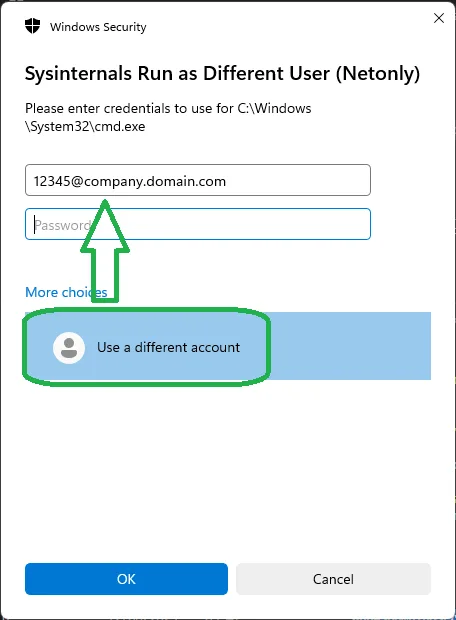Run as Domain User screenshot 2 of 2