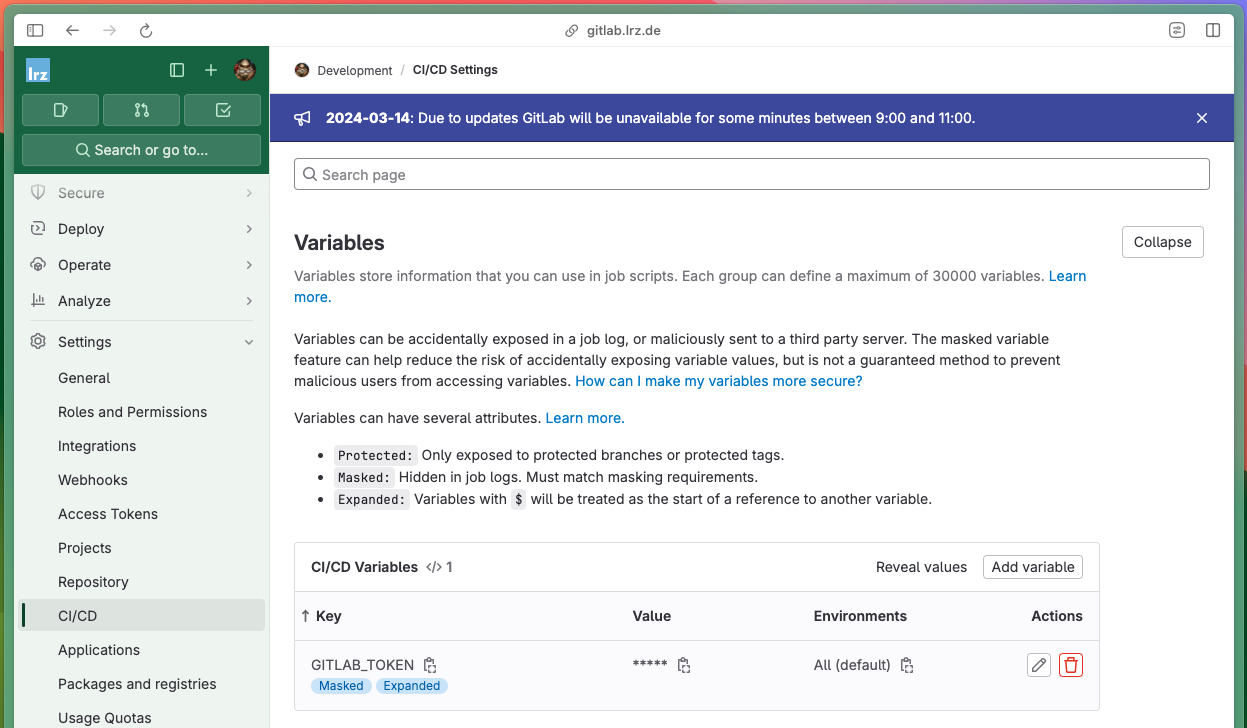 CI/CD Variables