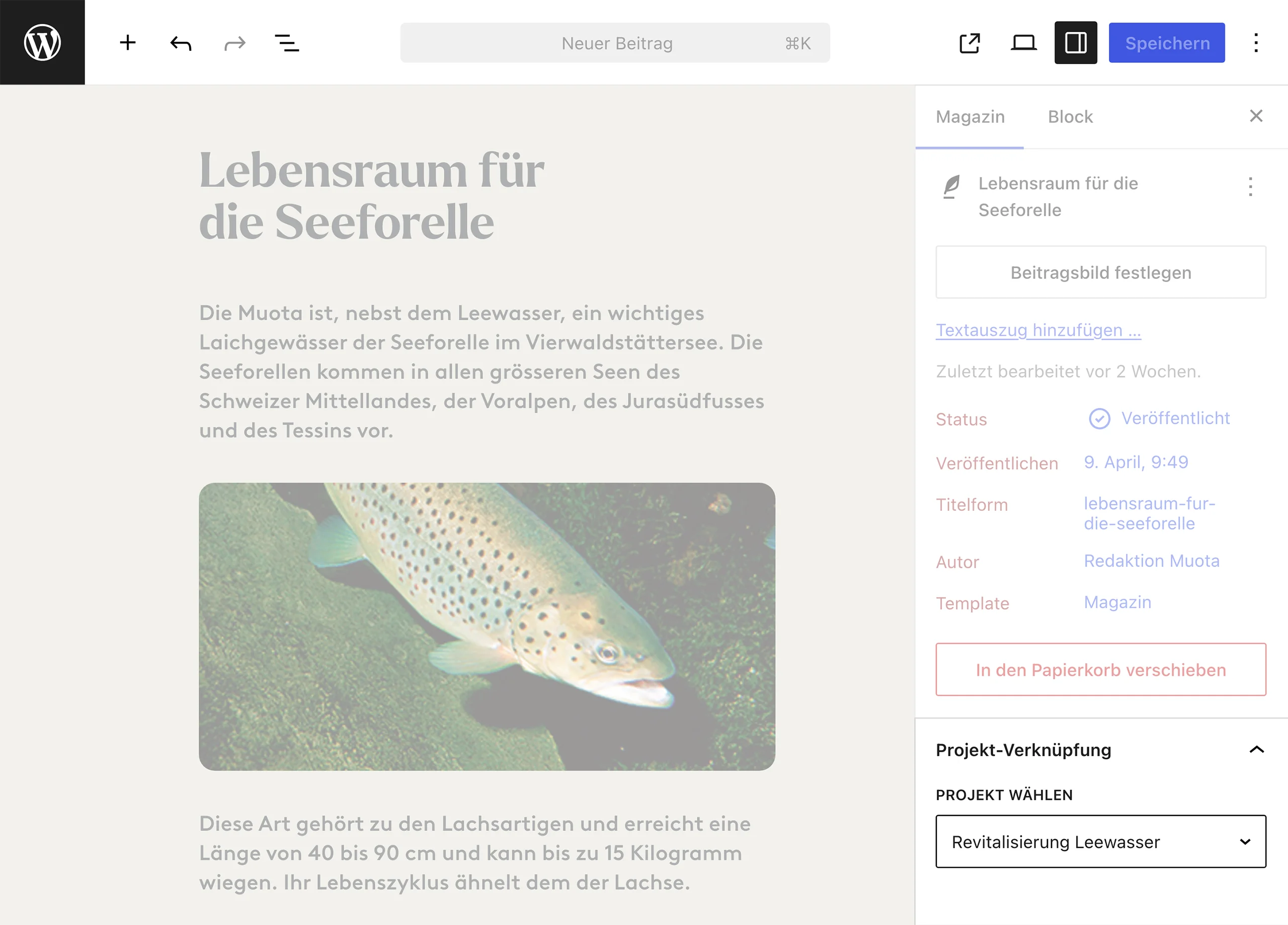 WordPress-Editor mit Magazinbeitrag und ausgewählter Projekt-Verknüpfung