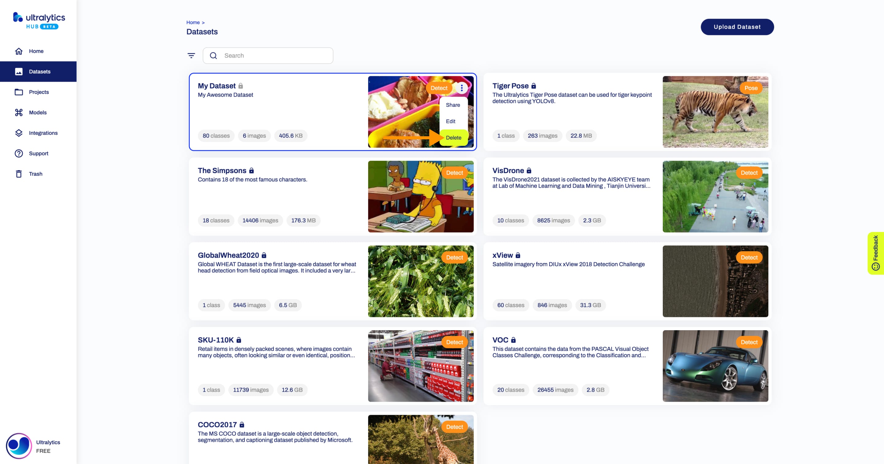 Ultralytics Скриншот HUB страницы "Наборы данных" со стрелкой, указывающей на опцию "Удалить" одного из наборов данных