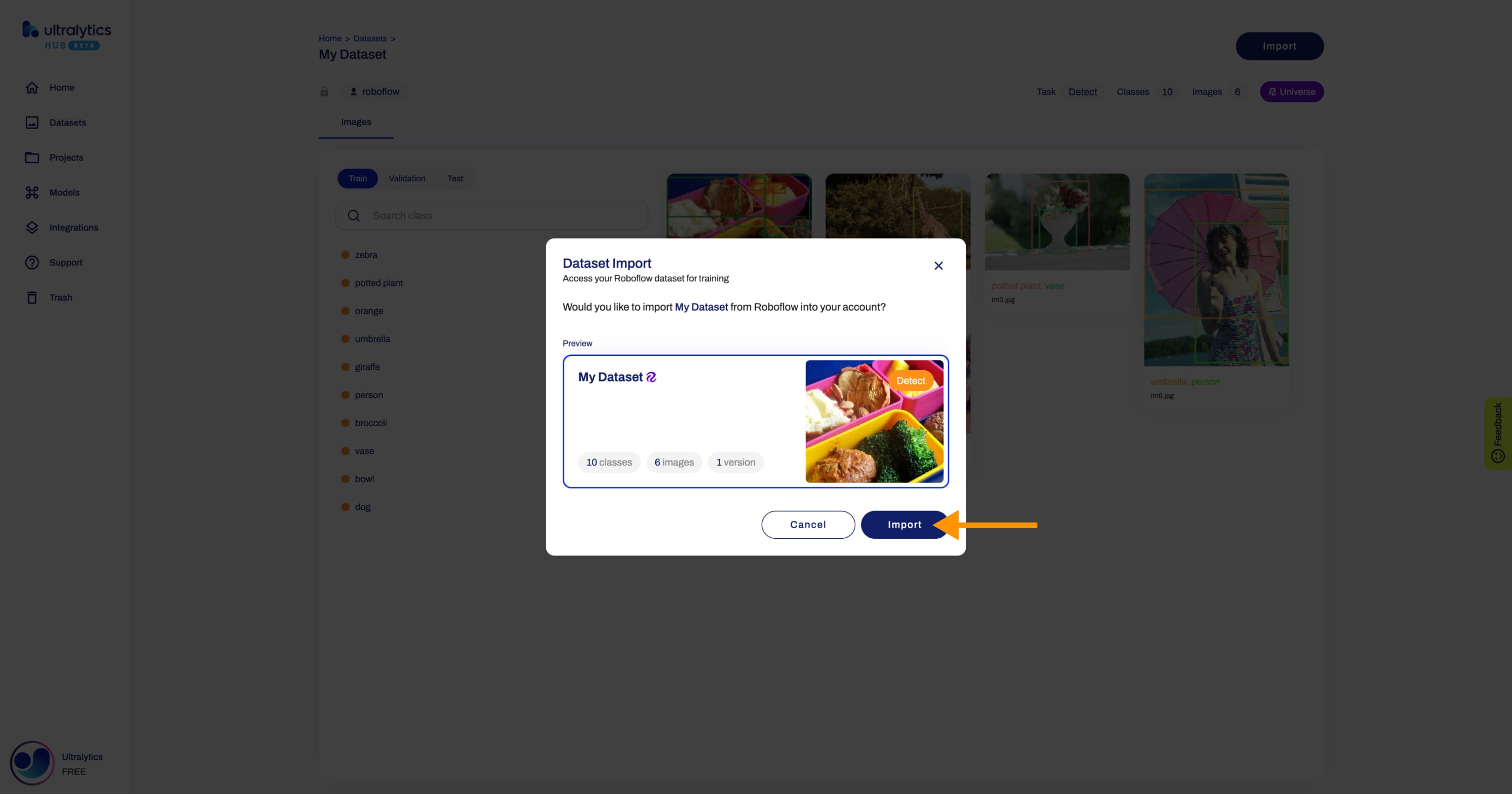 Ultralytics Schermata HUB della finestra di dialogo Importazione di un set di dati con una freccia che indica il pulsante Importa.