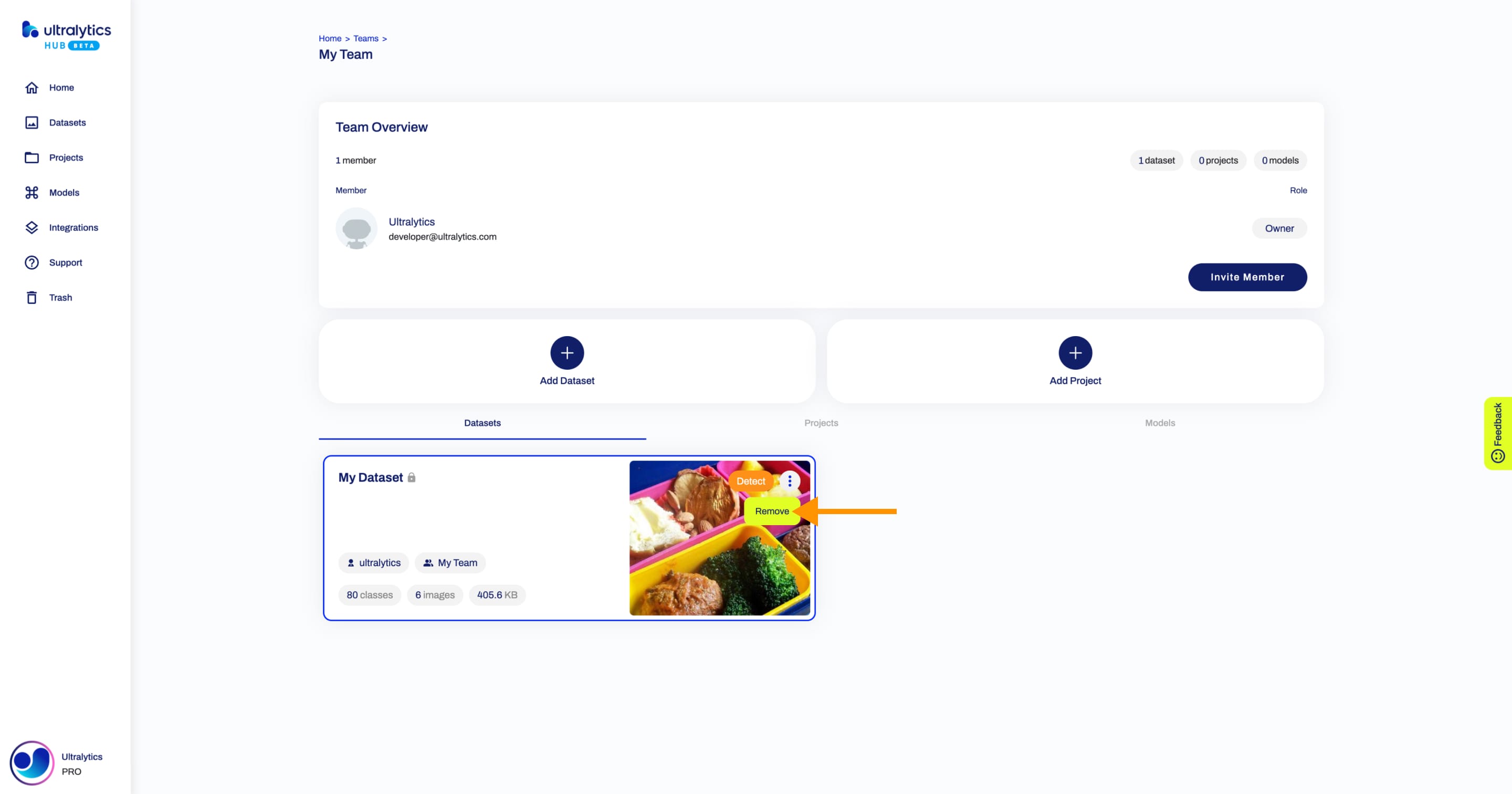 Ultralytics Captura de pantalla HUB de la página Equipo con una flecha señalando la opción Eliminar de uno de los conjuntos de datos compartidos