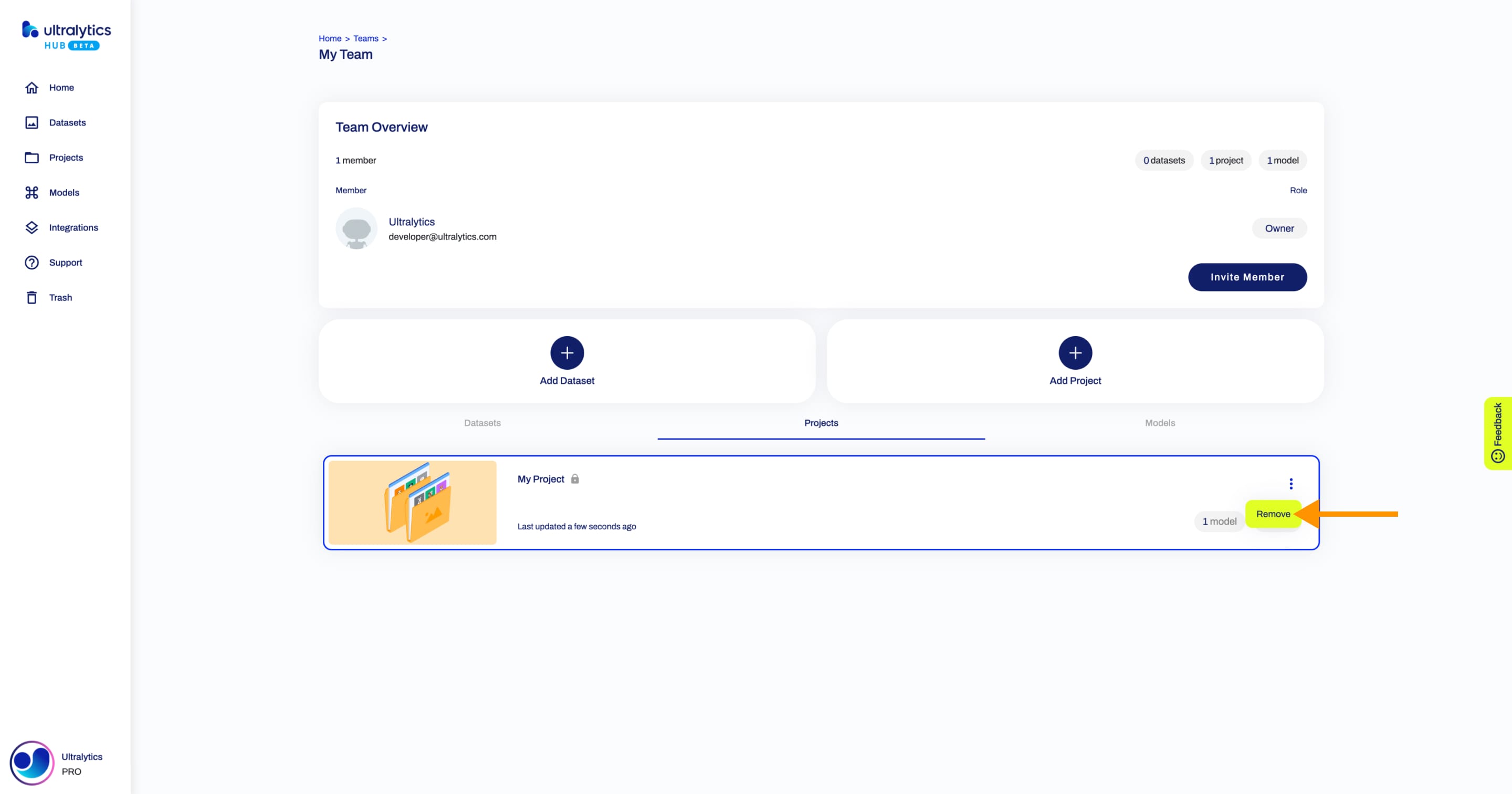 Ultralytics 团队页面的 HUB 截图，箭头指向其中一个共享项目的删除选项