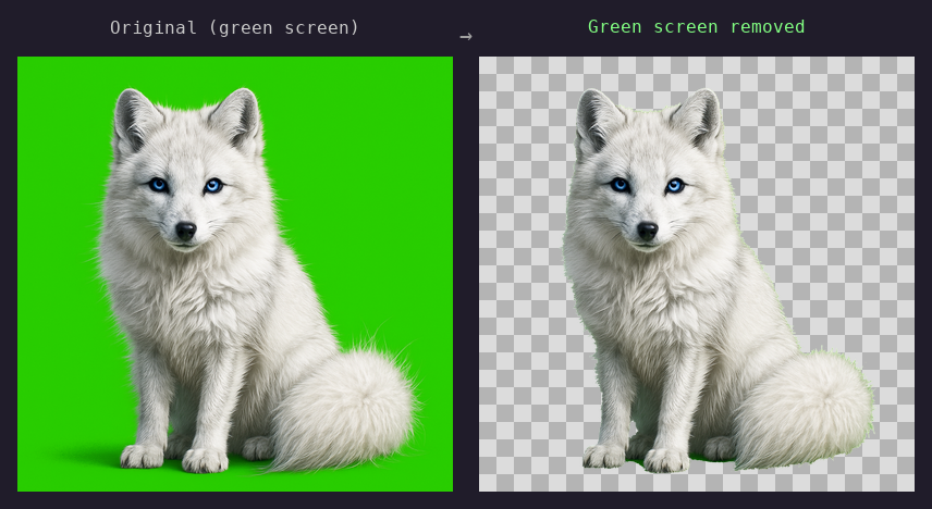 Green screen removal: arctic fox with fine fur detail