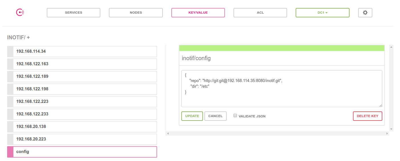 Consul config