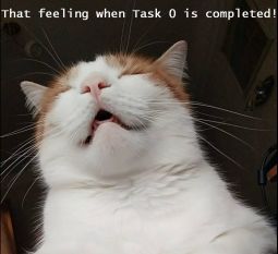 Task0 cat