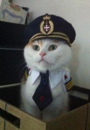 captainkitty