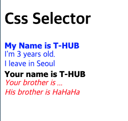 css_wildcard.png