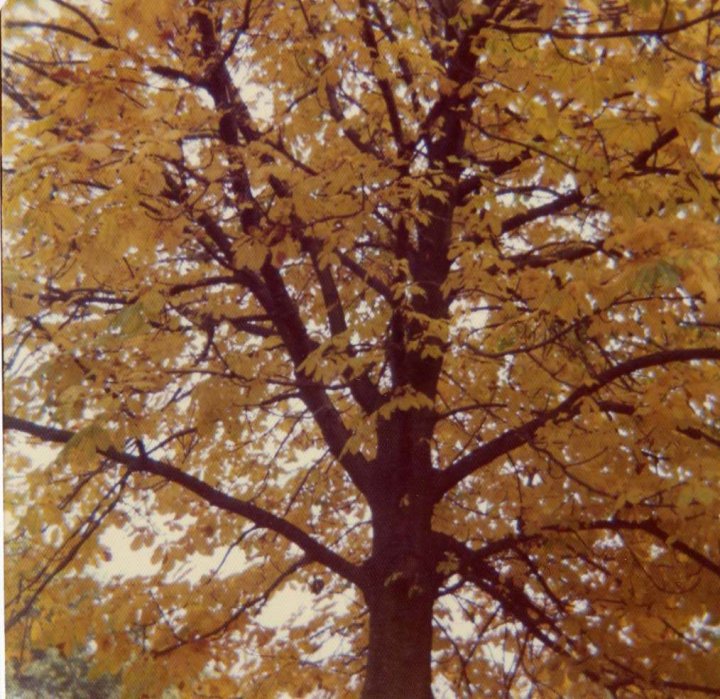 Part 1 frame 46