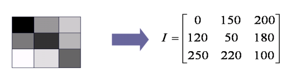 image-20230303081016469