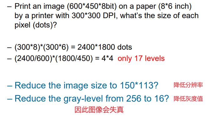 image-20230303083306296