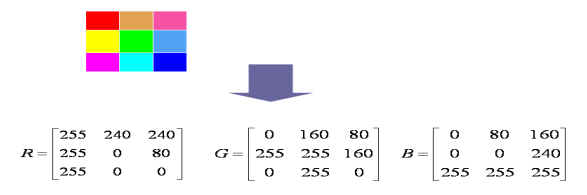 image-20230303083457810