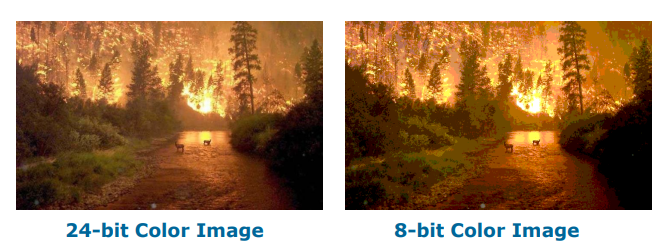 image-20230303084302637