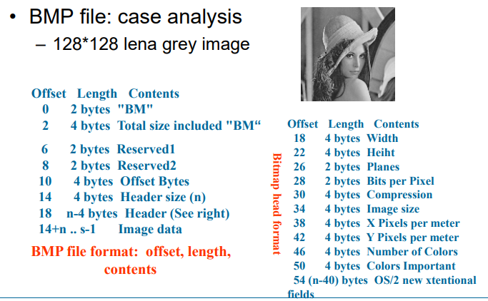 image-20230303091504780