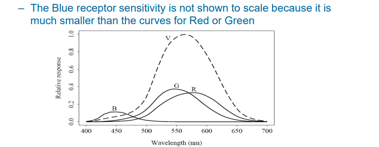 image-20230308081206201