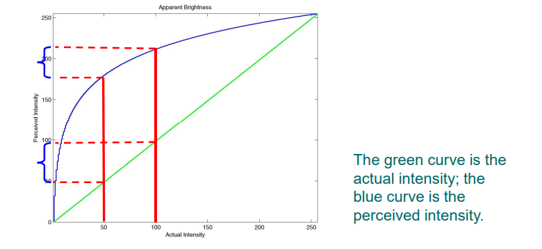 image-20230308083700425