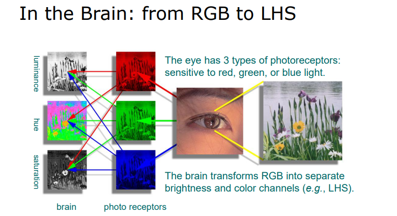 image-20230308084320125