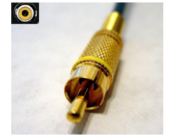 image-20230310081343053