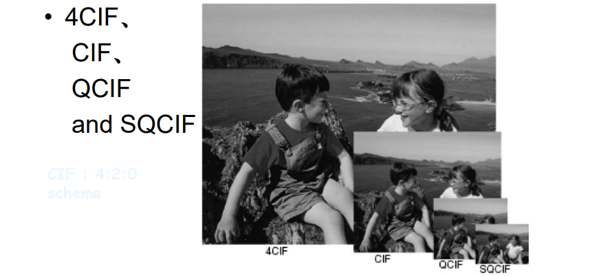 image-20230310091258675