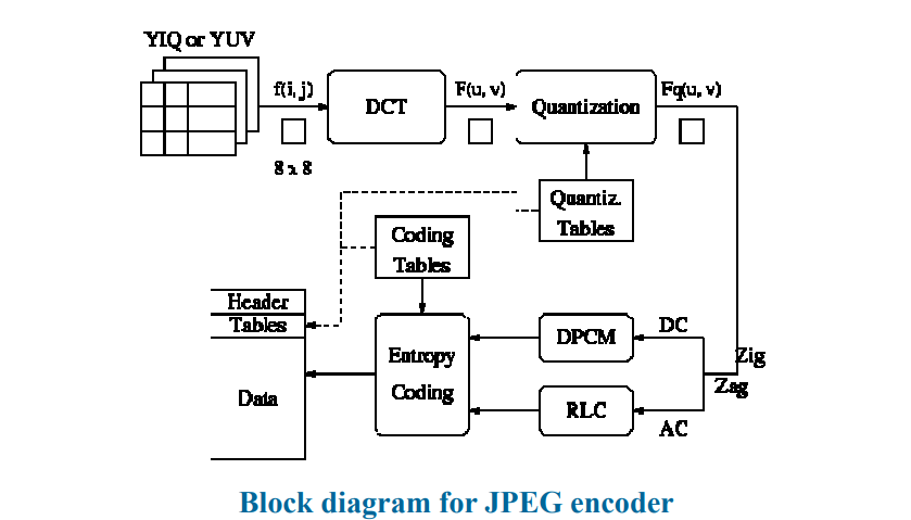 image-20230324081842470