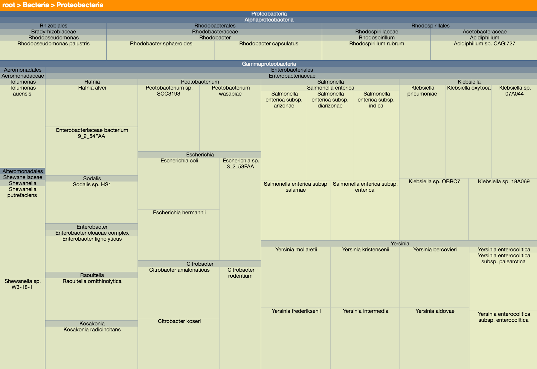 Treemap showcase