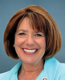 Official photo of DAVIS, SUSAN A.