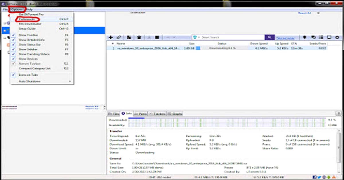 Open the bittorrent application on windows