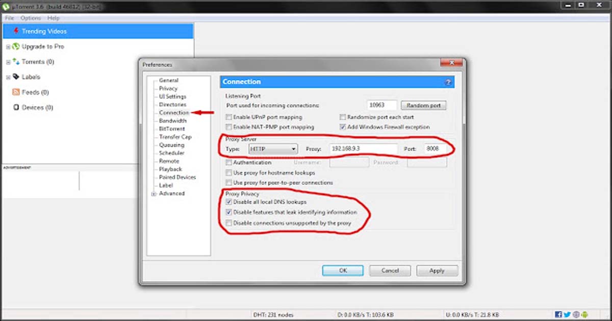 Utorrent Application Settings