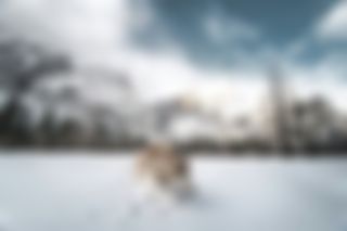 /blur_5/edges.jpg