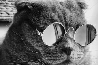 /grayscale/colour.jpg