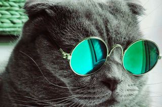/hue_90/colour.jpg