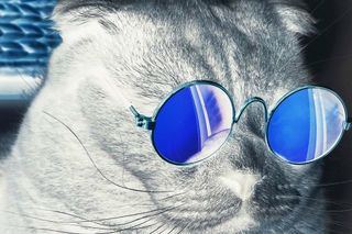 /negate/colour.jpg