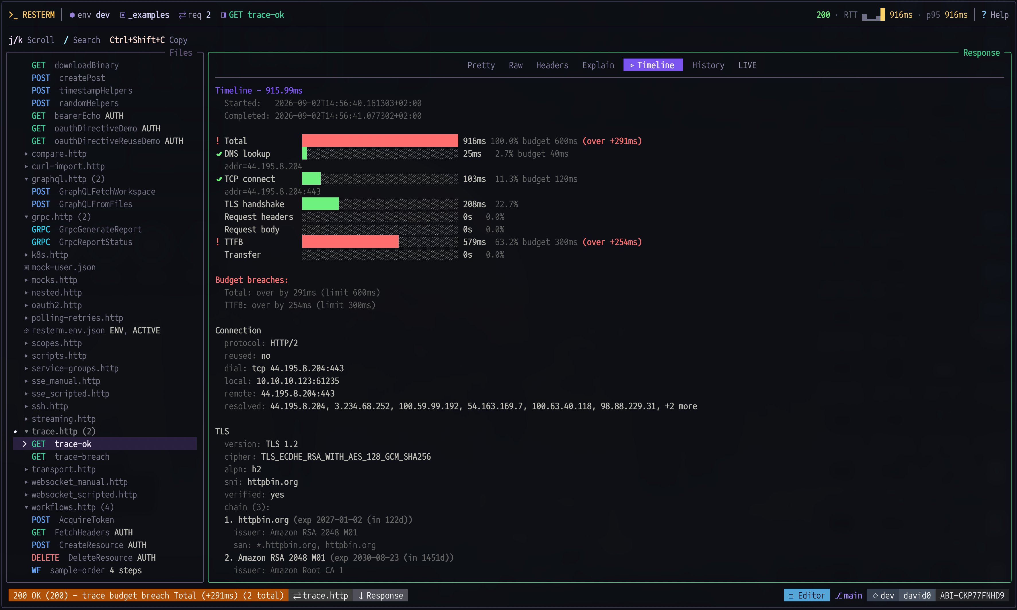 Screenshot of Resterm with timeline