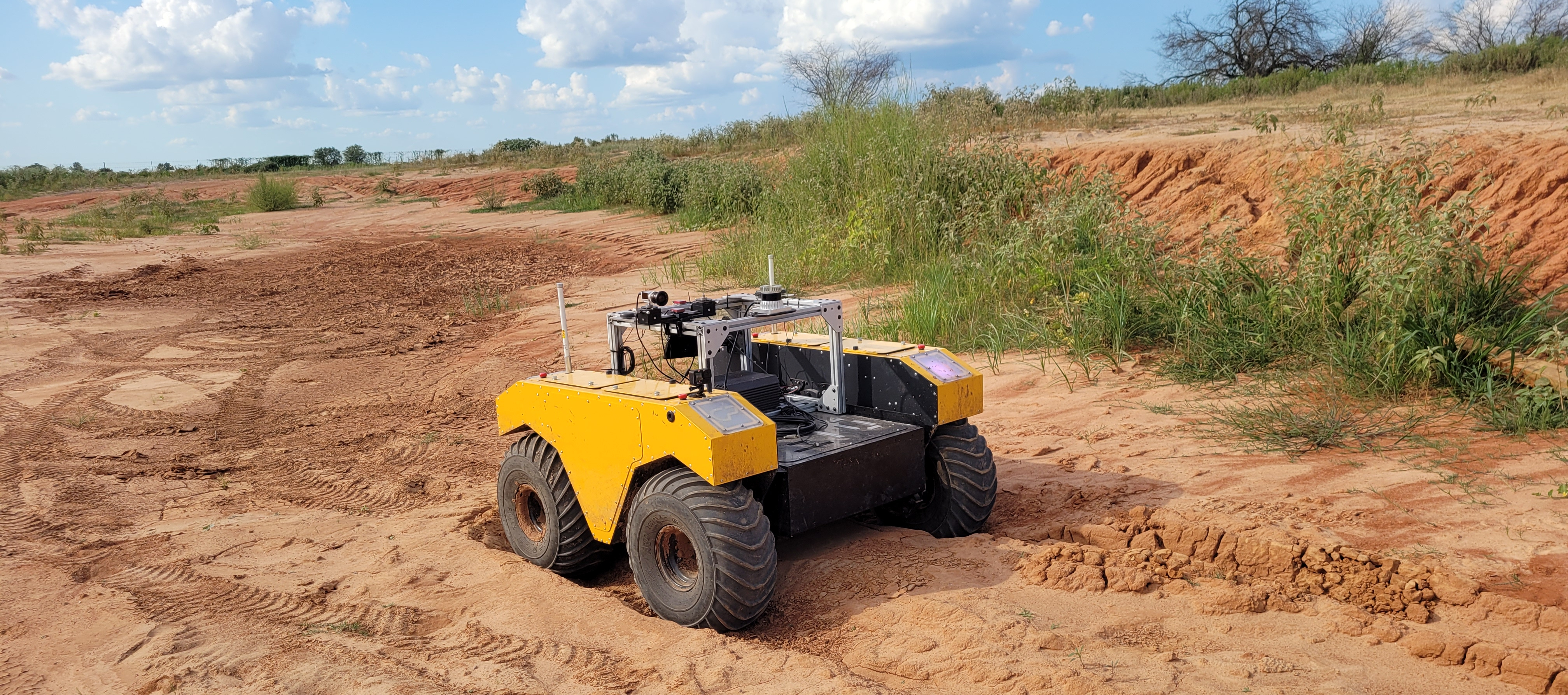 Warthog in Ruts