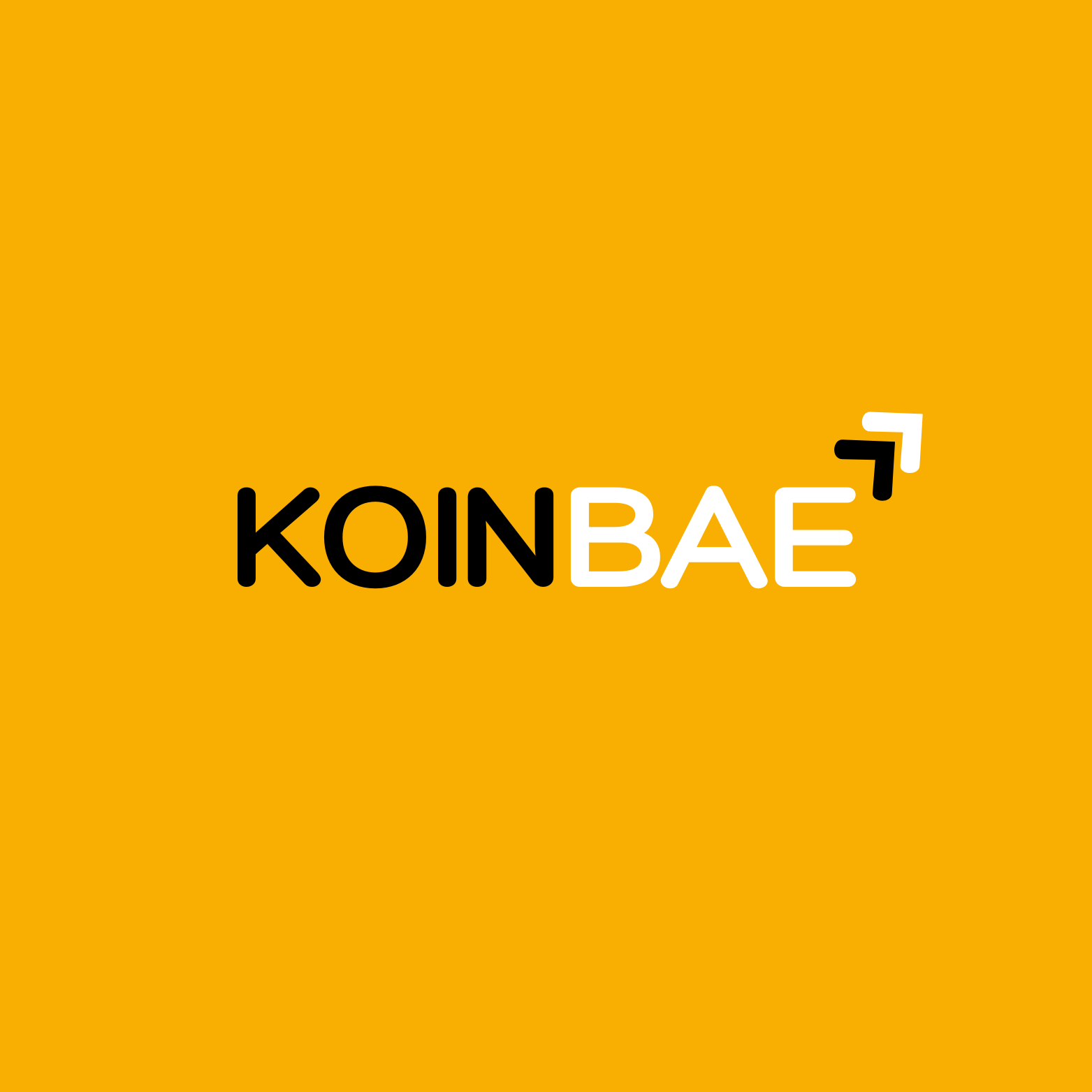 KoinBAE logo