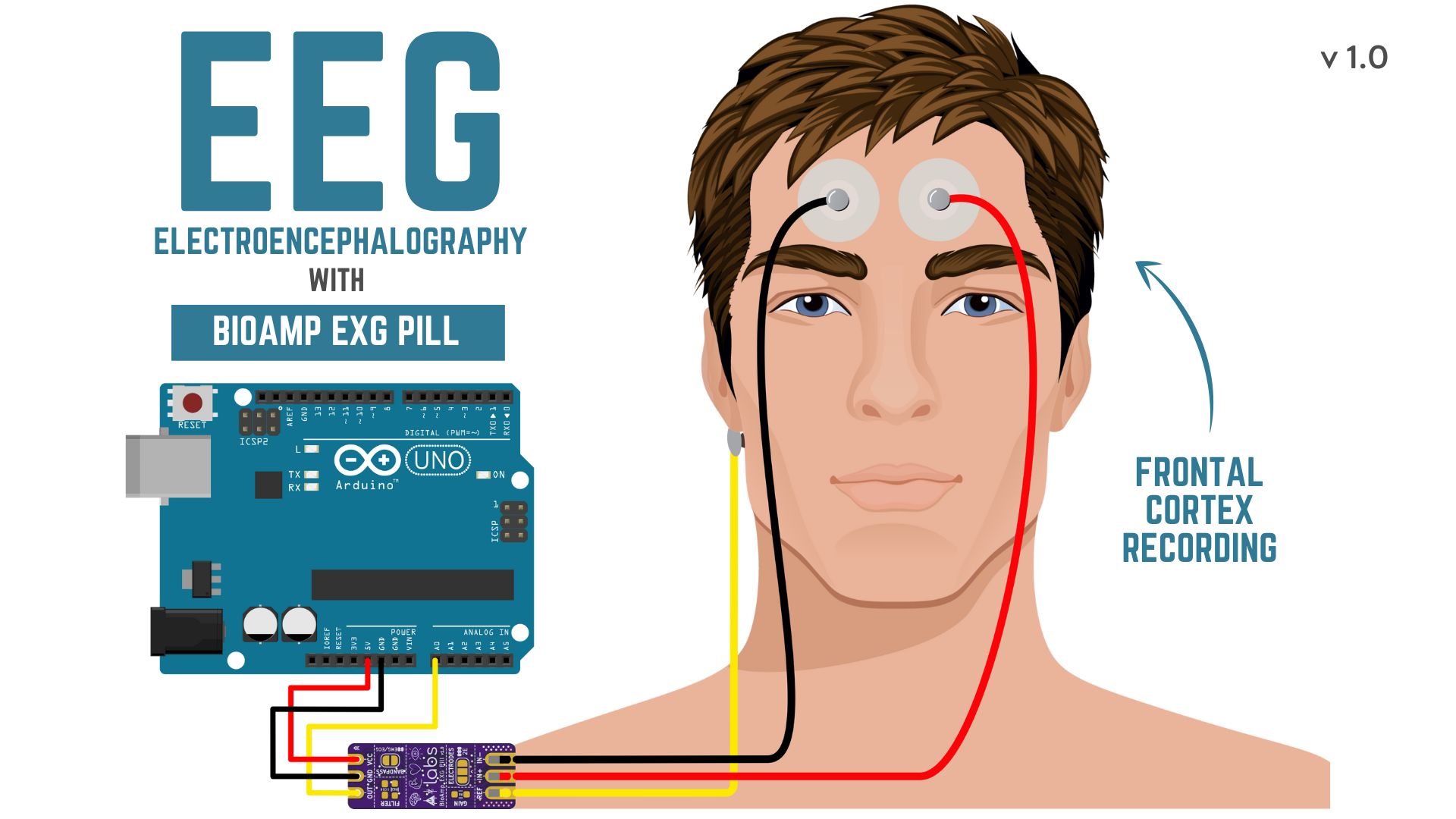 BioAmp EXG Pill - Electroencephalography (EEG)