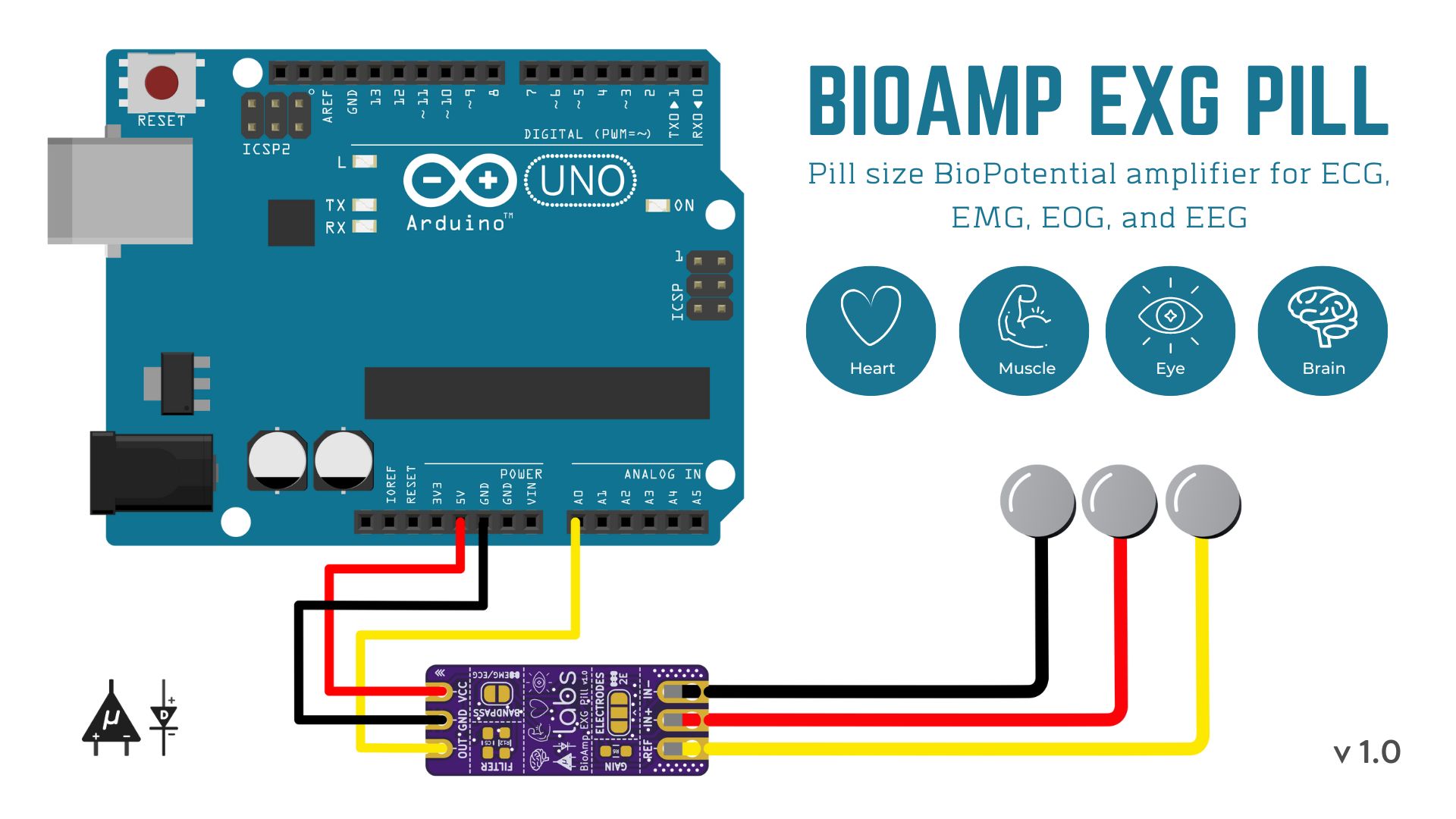 BioAmp EXG Pill - Basic Circuit