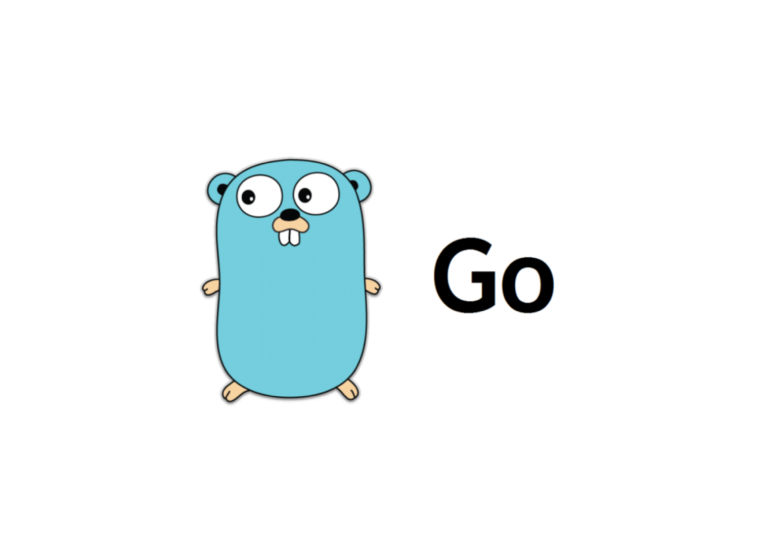 2018-02-12-go-intro/Golang_main.png