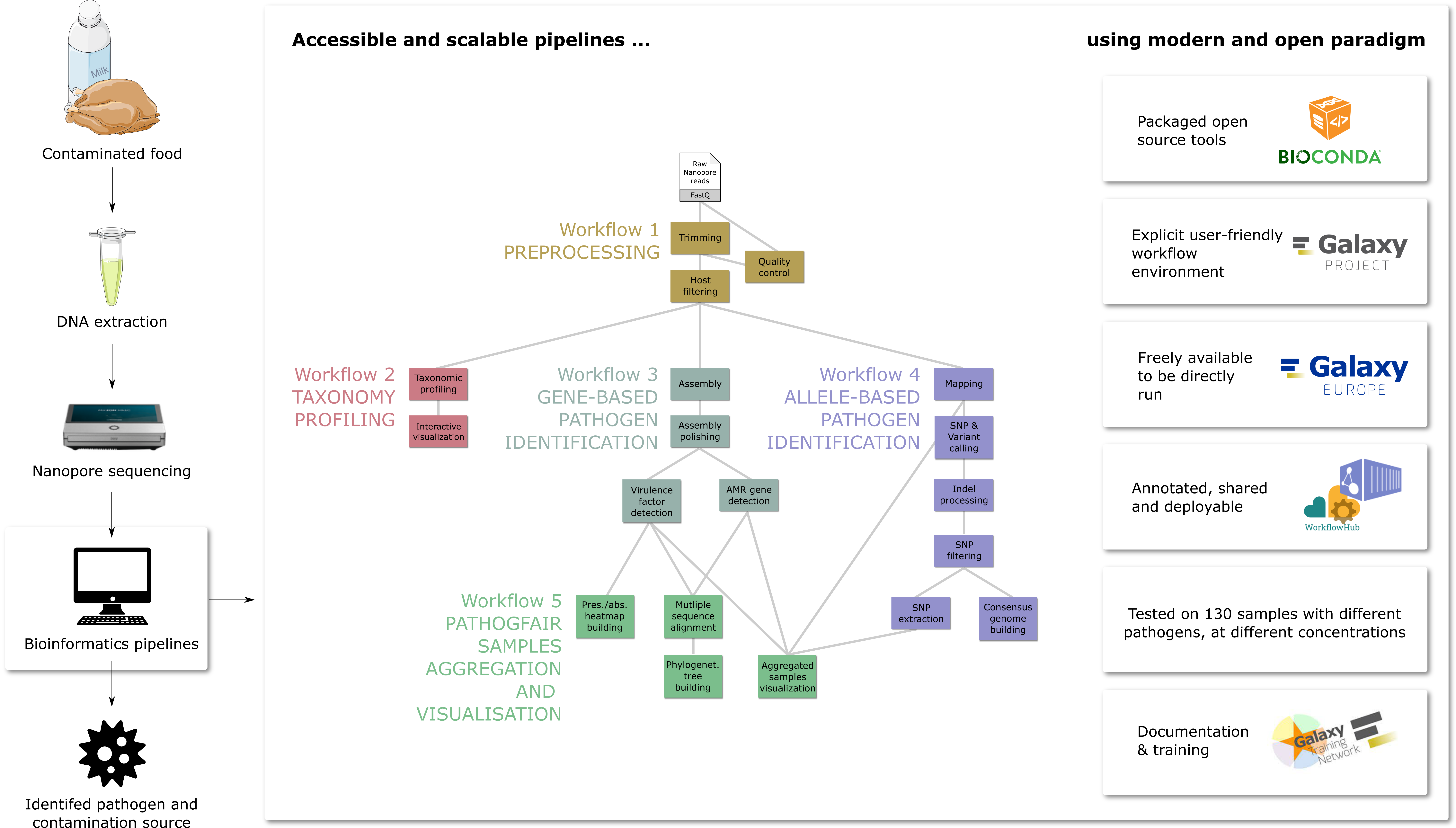 graphical abstract