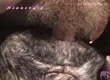 Guy fucks female dog